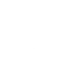 Syllabus Syllabus